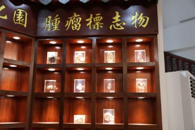 為何手麻 重慶御和堂中醫講可能是這三種疾病引起？